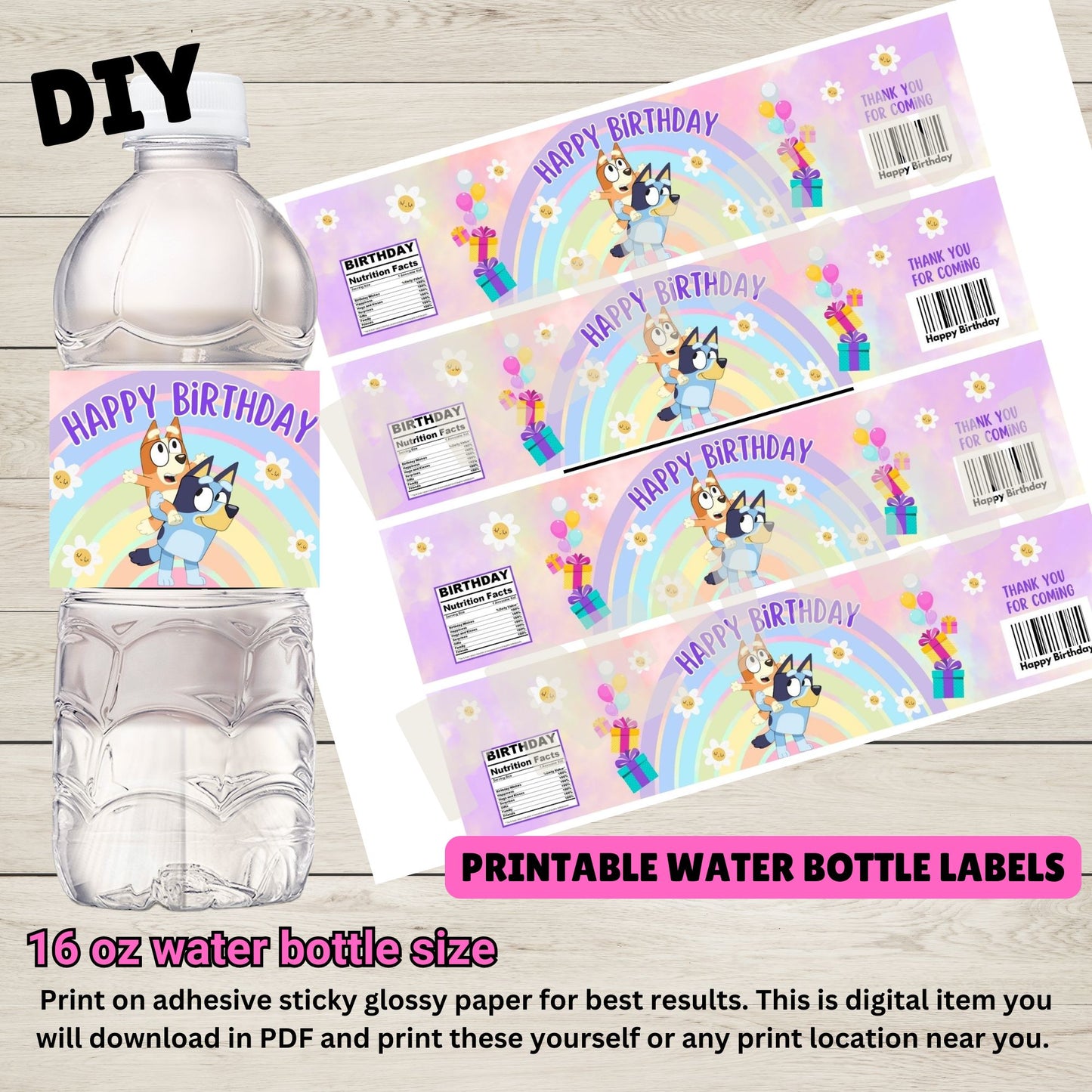 bluey birthday party for girl