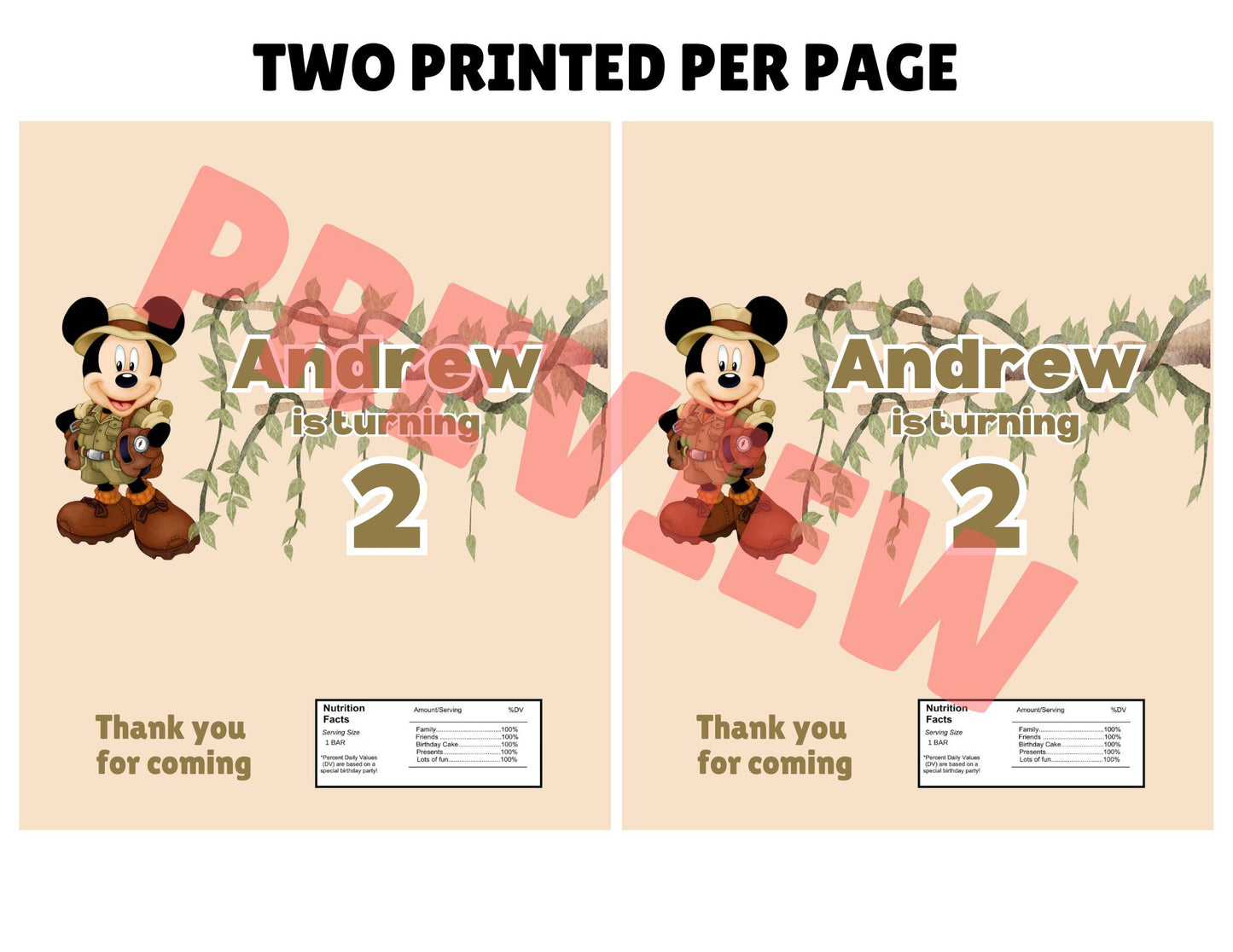 mickey safari theme