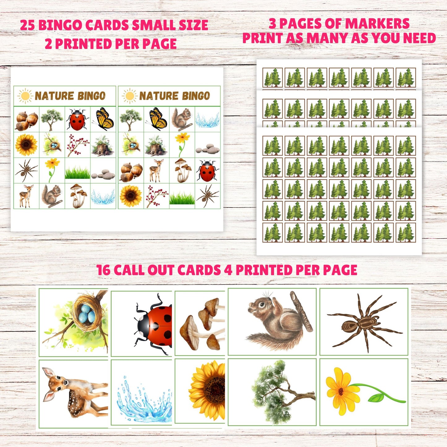 kids nature learning activities
