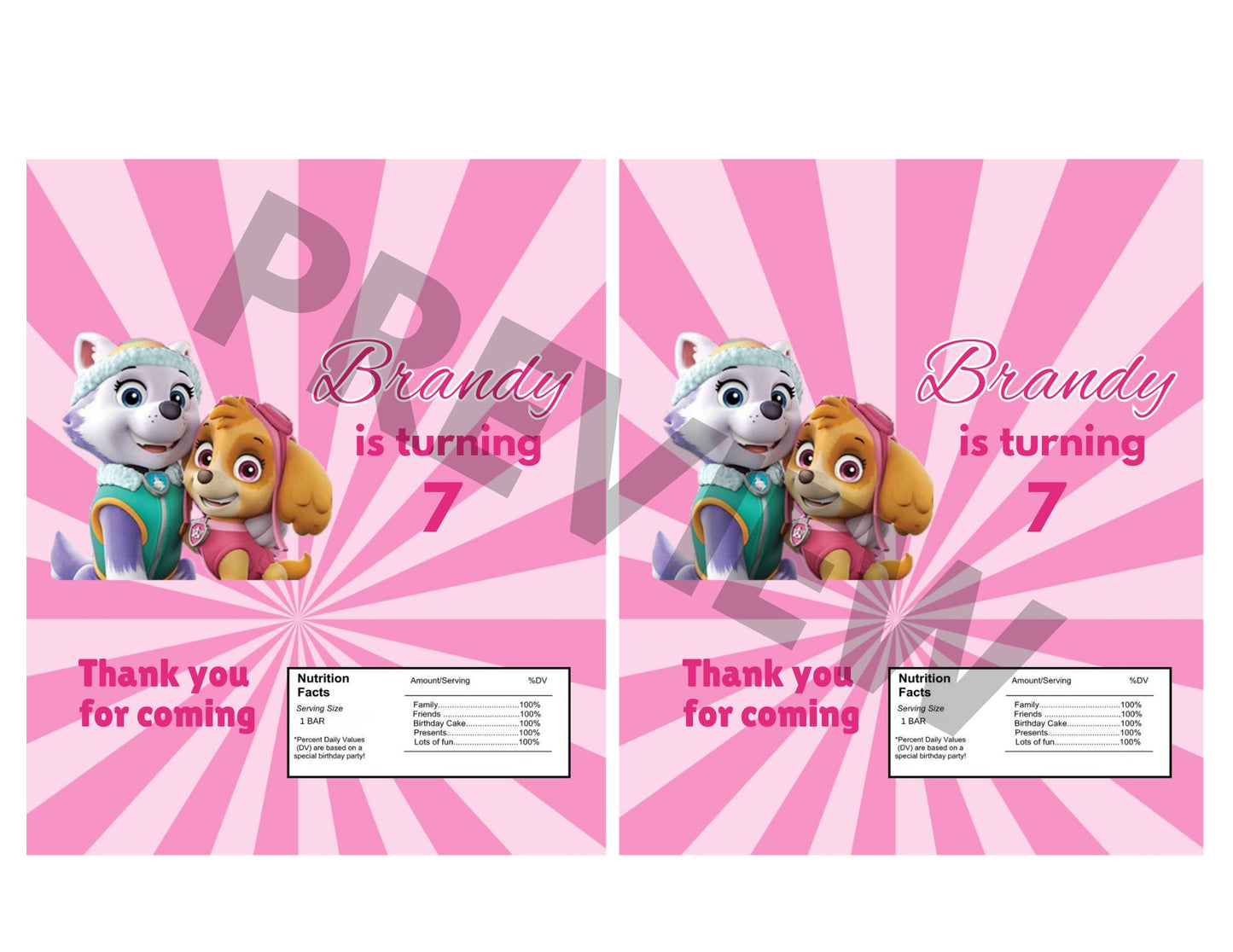 girls paw patrol birthday party favors