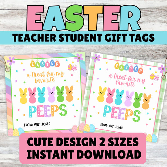 Cartel y cartel de bienvenida al cumpleaños de Taylor Swift (PDF)