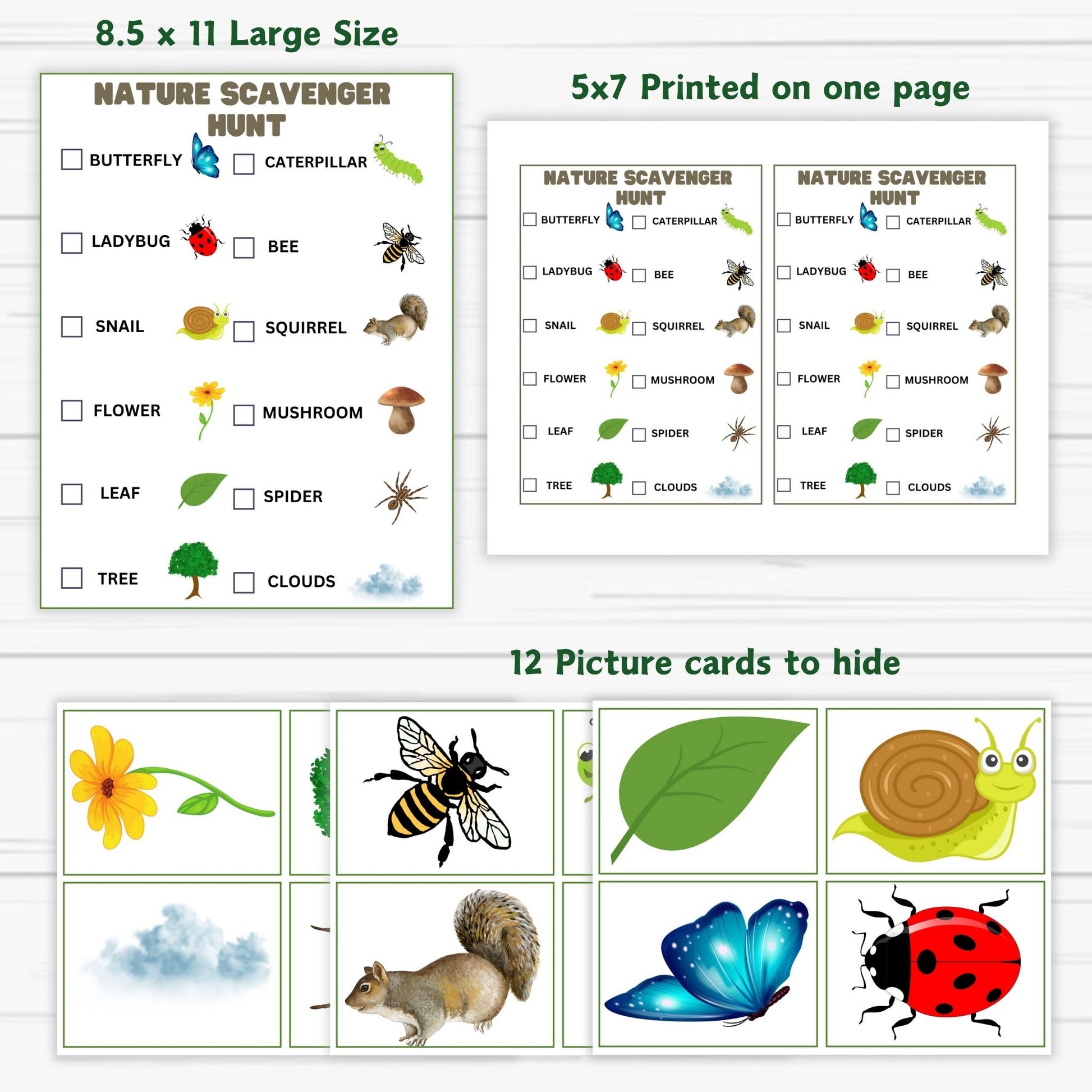 Homeschool, Nature Education, Preschool Activity, Toddler Game, Party Game, Spring Activity, Summer Fun.