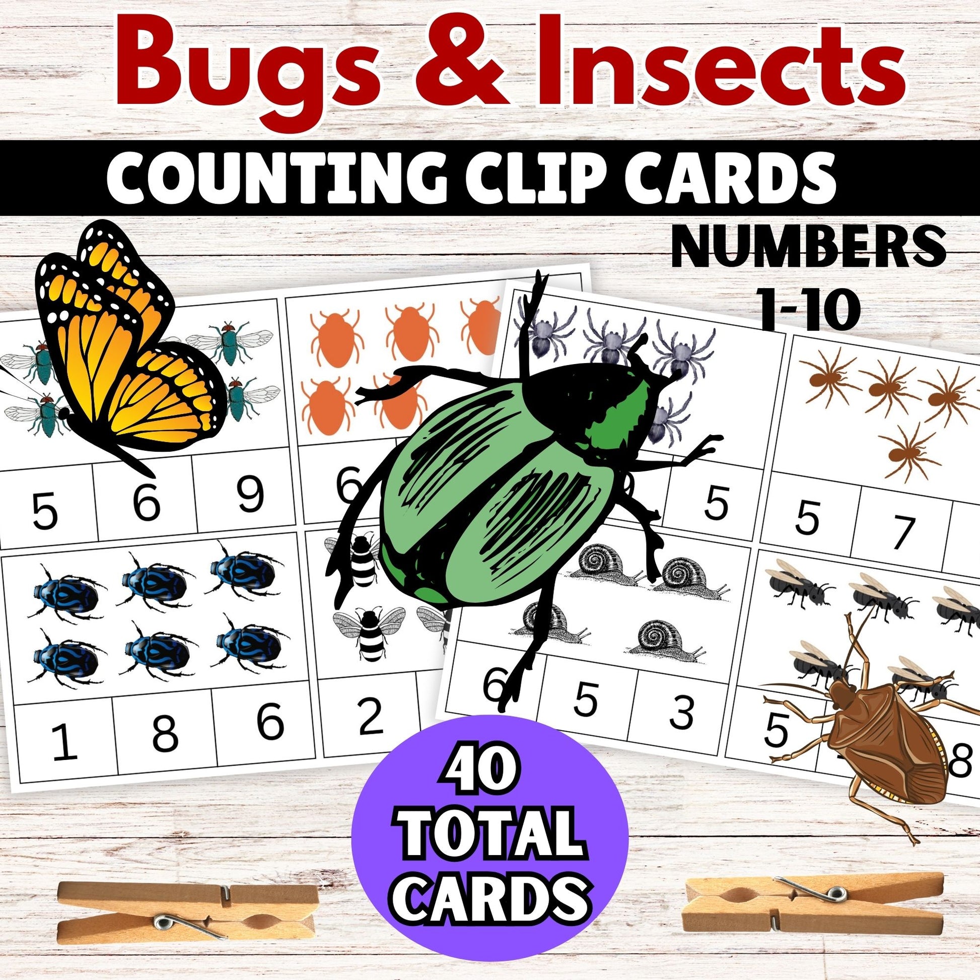 Bug and Insects Toddler Counting Clip Cards - Printable Bug and Insect Activities 