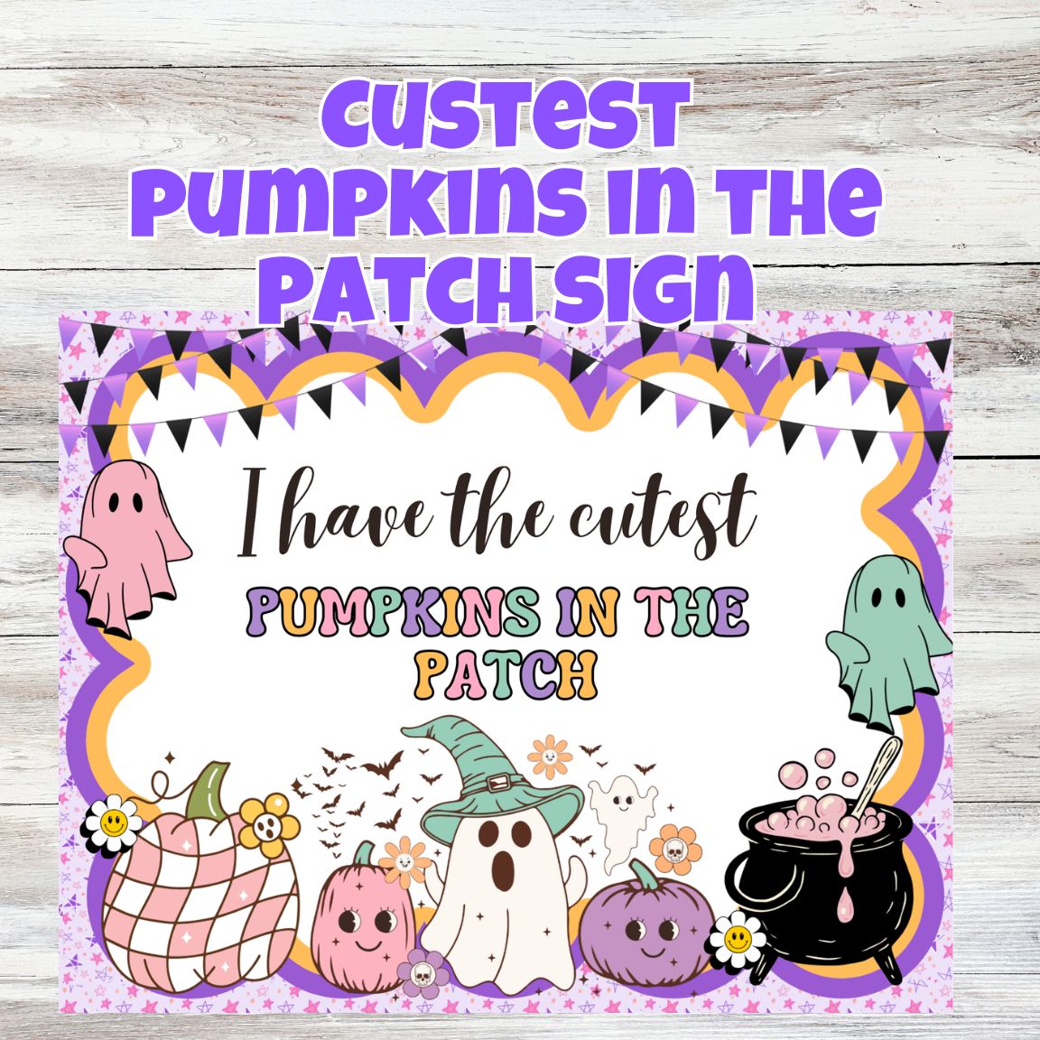 teach the cutest pumpkins in the patch